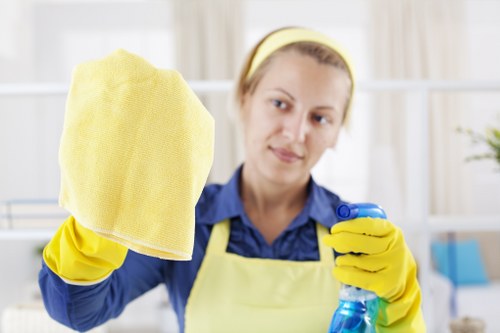 Professional sofa cleaning in a Barnes home with fabric upholstery