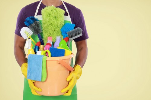 Domestic cleaning service for Barnes homes with regular upkeep