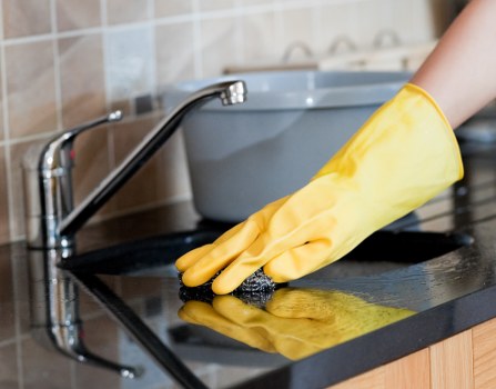 Professional pet stain odour removal service for carpets in Barnes
