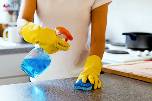 Local oven cleaning specialist working in Barnes near riverside homes
