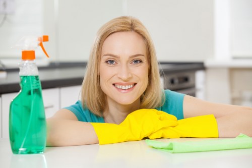 Kitchen deep cleaning service in Barnes for homes and flats