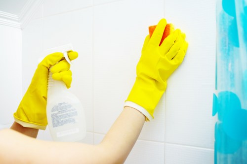 Cleaner maintaining a reception and meeting area in Barnes