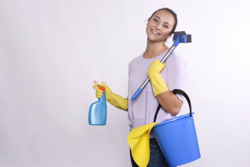 Professional window cleaning equipment used for a local Barnes property