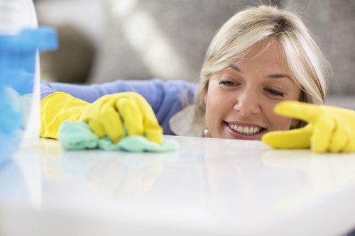 Barnes Cleaner secure checkout with multiple payment methods