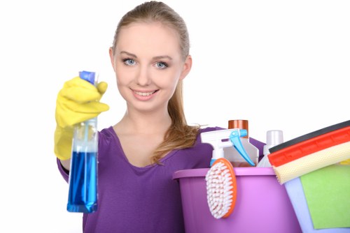 Local mattress cleaning technician working in a Barnes property