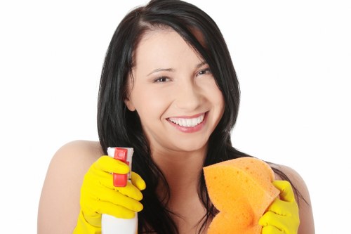 Payment and service scope information for cleaning terms