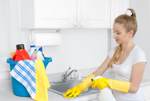 Domestic and commercial cleaning in Barnes area
